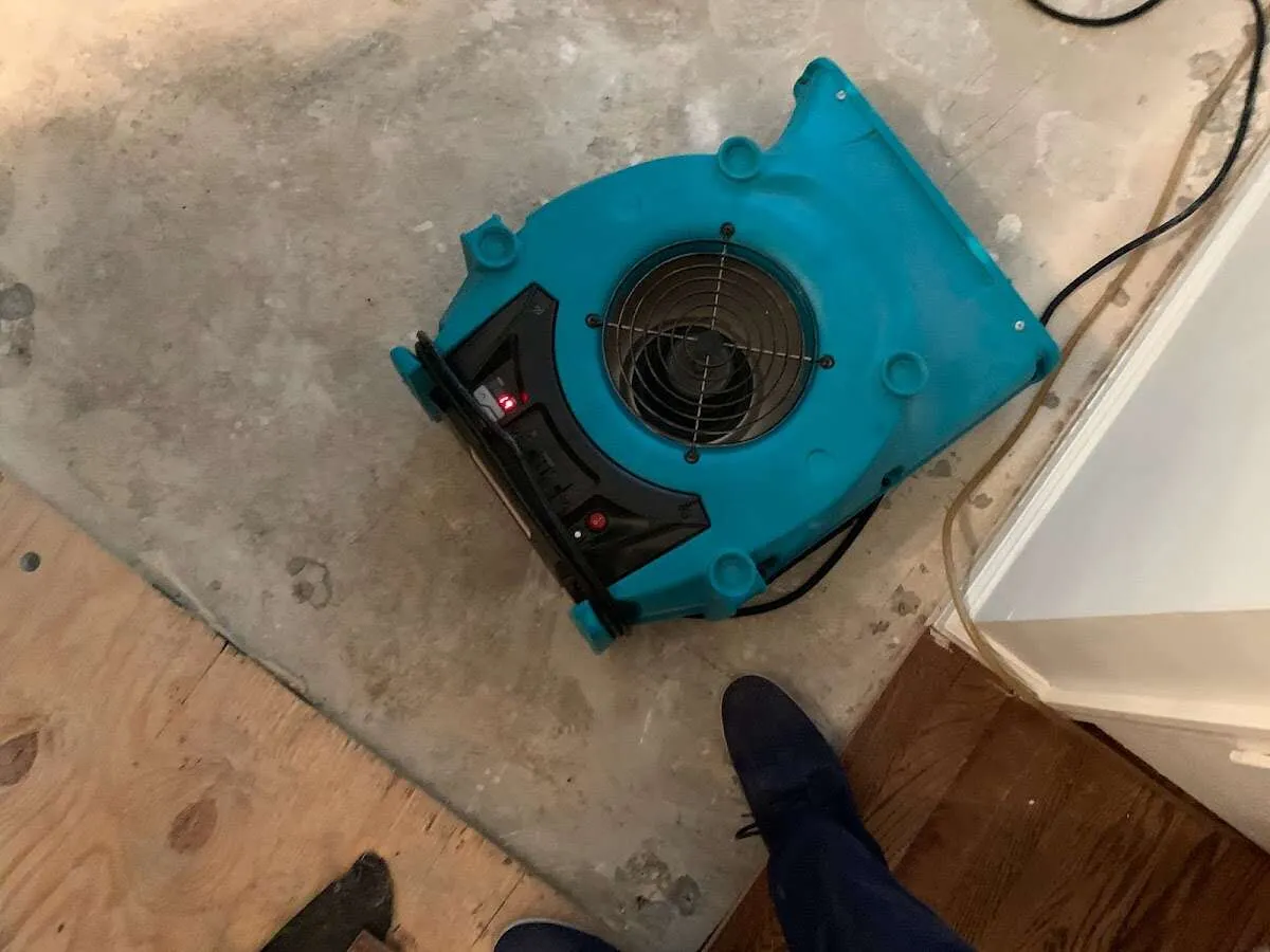 Air mover drying subfloor during Commercial Water Damage Restoration in Ferndale